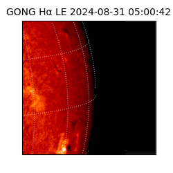 gong - 2024-08-31T05:00:42