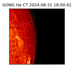 gong - 2024-08-31T18:00:42