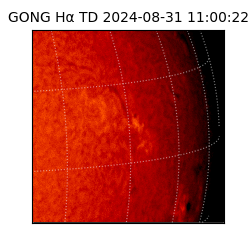 gong - 2024-08-31T11:00:22