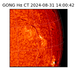 gong - 2024-08-31T14:00:42
