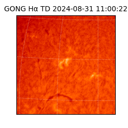 gong - 2024-08-31T11:00:22