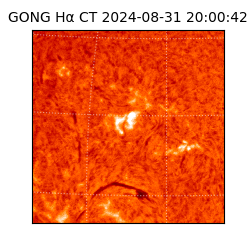 gong - 2024-08-31T20:00:42