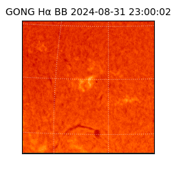 gong - 2024-08-31T23:00:02