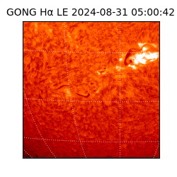 gong - 2024-08-31T05:00:42