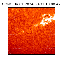 gong - 2024-08-31T18:00:42