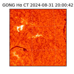 gong - 2024-08-31T20:00:42