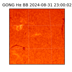 gong - 2024-08-31T23:00:02