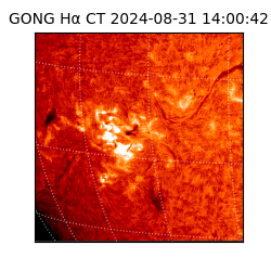 gong - 2024-08-31T14:00:42