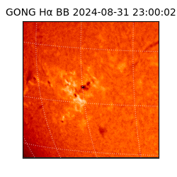 gong - 2024-08-31T23:00:02