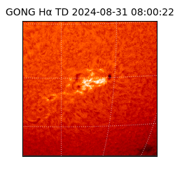 gong - 2024-08-31T08:00:22