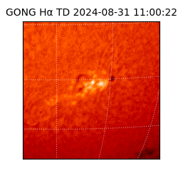 gong - 2024-08-31T11:00:22