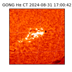 gong - 2024-08-31T17:00:42