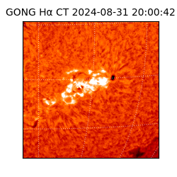 gong - 2024-08-31T20:00:42