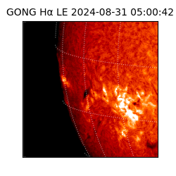 gong - 2024-08-31T05:00:42