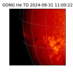 gong - 2024-08-31T11:00:22