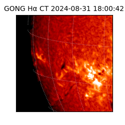 gong - 2024-08-31T18:00:42