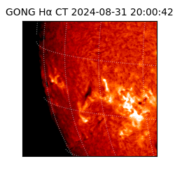 gong - 2024-08-31T20:00:42