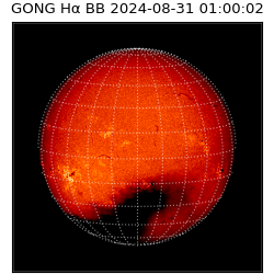 gong - 2024-08-31T01:00:02