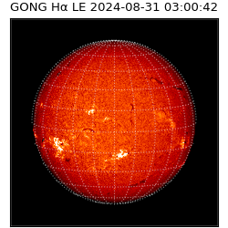gong - 2024-08-31T03:00:42