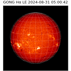 gong - 2024-08-31T05:00:42