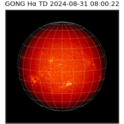 gong - 2024-08-31T08:00:22