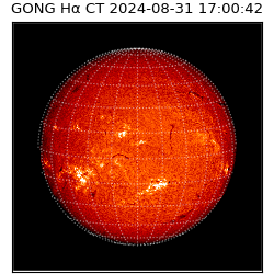 gong - 2024-08-31T17:00:42