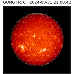 gong - 2024-08-31T21:00:42