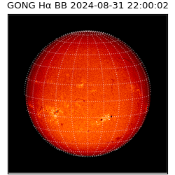 gong - 2024-08-31T22:00:02