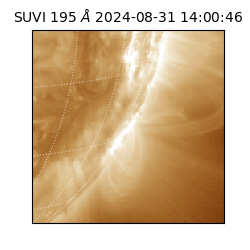 suvi - 2024-08-31T14:00:46.112000