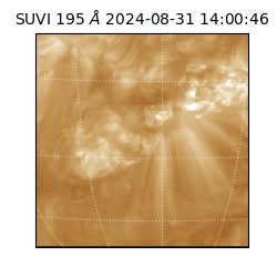 suvi - 2024-08-31T14:00:46.112000