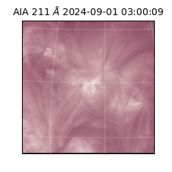 saia - 2024-09-01T03:00:09.626000