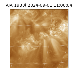 saia - 2024-09-01T11:00:04.843000