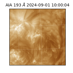 saia - 2024-09-01T10:00:04.839000