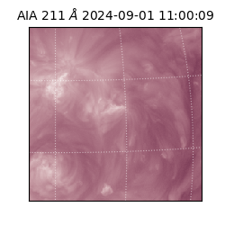 saia - 2024-09-01T11:00:09.631000