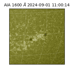 saia - 2024-09-01T11:00:14.126000