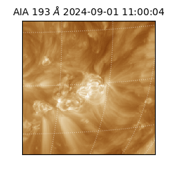 saia - 2024-09-01T11:00:04.843000