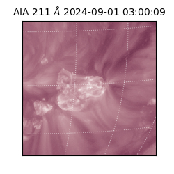 saia - 2024-09-01T03:00:09.626000