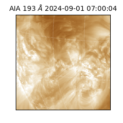 saia - 2024-09-01T07:00:04.843000
