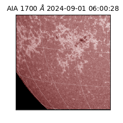 saia - 2024-09-01T06:00:28.717000