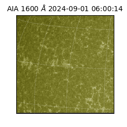 saia - 2024-09-01T06:00:14.130000