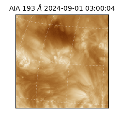 saia - 2024-09-01T03:00:04.843000
