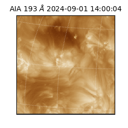 saia - 2024-09-01T14:00:04.835000