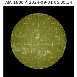 saia - 2024-09-01T05:00:14.130000