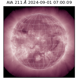 saia - 2024-09-01T07:00:09.631000
