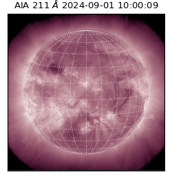 saia - 2024-09-01T10:00:09.624000