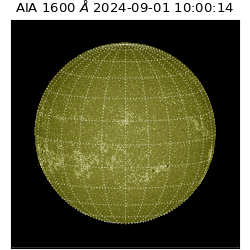 saia - 2024-09-01T10:00:14.122000