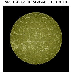 saia - 2024-09-01T11:00:14.126000