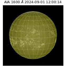 saia - 2024-09-01T12:00:14.125000