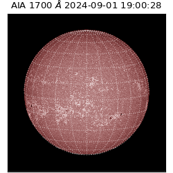 saia - 2024-09-01T19:00:28.741000