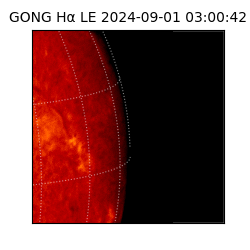 gong - 2024-09-01T03:00:42